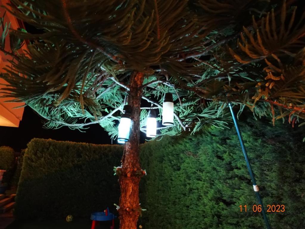 Hotel Surya Butik Alaçatı Exterior foto